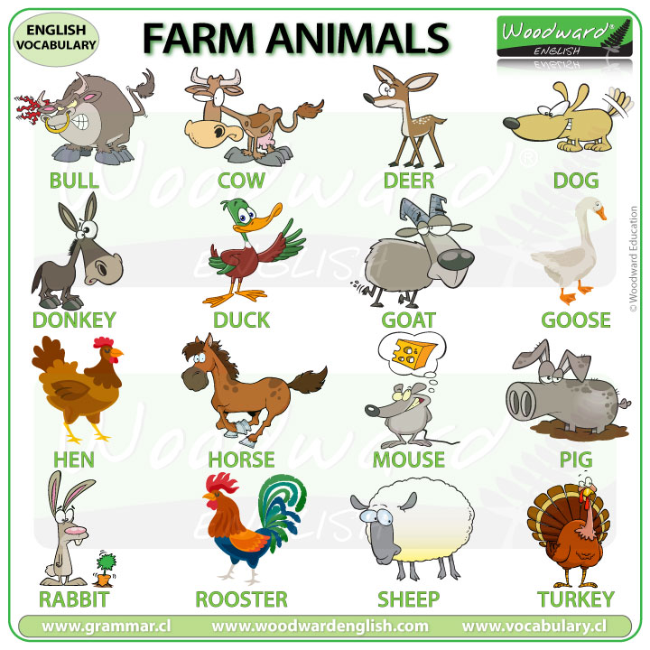 Farm Animals in English - Names of farm animals English Vocabulary